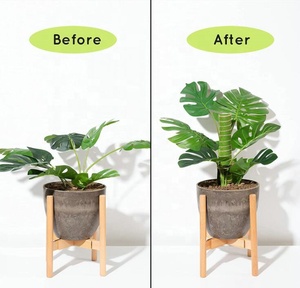 Tiges de mousse de 28,7 pouces pour plantes grimpantes, supports en tissu de mousse pour plantes grimpantes d'intérieur et d'extérieur, croissance verticale, attaches en <span class=keywords><strong>corde</strong></span> de sisal - Product Image 6