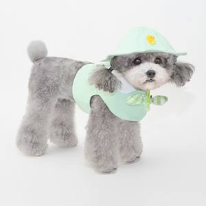 Spring Summer New Pet Hat <strong>Dog</strong> <strong>Cap</strong> for Small <strong>Dogs</strong> Sunshade <strong>Cap</strong> <strong>Flat</strong> <strong>Cap</strong> Pet Accessory - Product Image 6