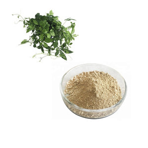 Chất lượng cao <span class=keywords><strong>Gynostemma</strong></span> pentaphyllum chiết xuất thảo dược 80% 98% <span class=keywords><strong>Gynostemma</strong></span> saponin bột - Product Image 1