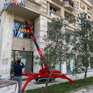 Équipement de levage de chantier HNTIWIN, spécifications de la grue araignée, <span class=keywords><strong>transport</strong></span> 2 tonnes - Product Image 6
