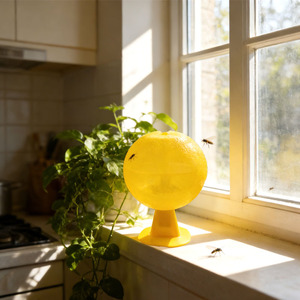 Piège à mouches des fruits collant en forme <span class=keywords><strong>de</strong></span> boule avec un design écologique Attrape-insectes pour jardin, verger et cuisine intérieure - Product Image 1