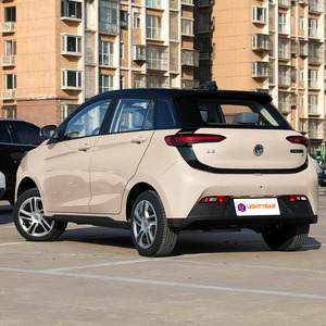 Auto Eléctrico Compacto EV House YOUNG Mini EV para Desplazamientos Urbanos, Conducción Inteligente y Ecológica, Marca China, Económico, Gran Venta - Product Image 5