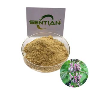 Травяное растение yi mu cao? Пустырника пятилопастного экстракт пустырника - Product Image 1