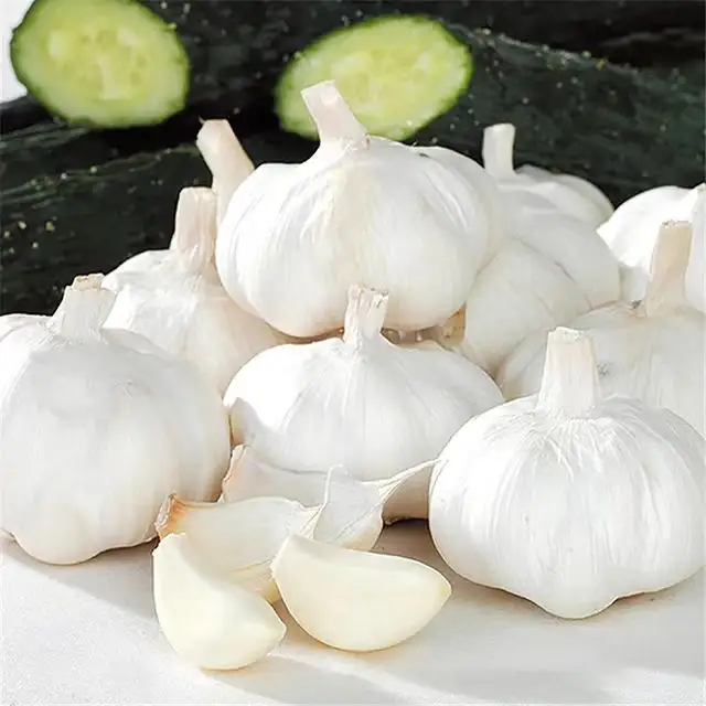 Garlic Price in China Fresh Normal White Style Global Gap Color Pure Snow Weight Origin Type Size Product