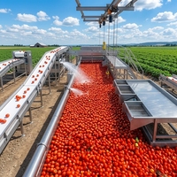 Productielijn voor tomatenpuree 2026, groente & fruit, met automatische complete oplossing van roestvrij staal SUS 304