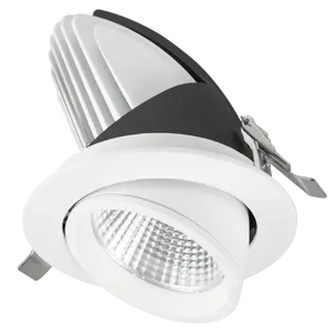 SAA Modern Rotation Elephant Trunk Rotated Driver Built-in LED Downlight Commercial Industrial Dimming Switchable CCT Down Light