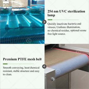 Esterilizador Automático de Alimentos con <span class=keywords><strong>Luz</strong></span> UV, Túnel de Desinfección para Esterilizar Hojas de Té - Product Image 4