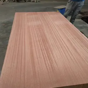 Chapa de madera contrachapada Sapele, contrachapado para muebles de 12mm
