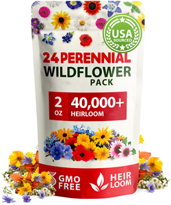 63,200 + fleurs sauvages <span class=keywords><strong>vivaces</strong></span> en vrac Semences 19 variétés de papillons Semences de jardin attirant les oiseaux abeilles pour pots de fleurs et jardinières - Product Image 2