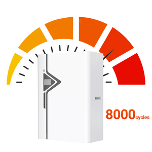Batterie de stockage d'énergie domestique LiFePO4 51,2 V, prise en charge de la connexion parallèle 1-16, cellules de marque Tier 1, 8000 cycles, 5 kWh, 10 kWh, Powerwall solaire - Product Image 4
