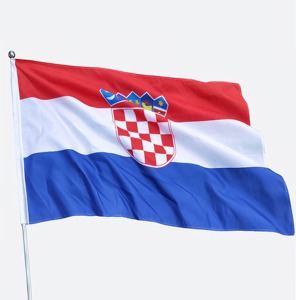 Manufacturer Outdoor Flying Style Polyester Digital Printing Custom 3X5Ft Red White Green Aluminum Flagpole Folding <b>Flag</b> <b>Flags</b> - Product Image 3