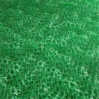 Machine de tapis de renforcement de gazon de tapis de contrôle d'érosion de Geomat renforcé en plastique 3D