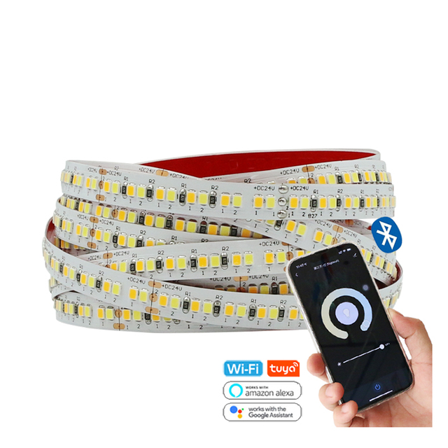 Hot Sale Blue Tooth LED Strip 12V 24V SMD2835 10MM Width 216leds LED Flexible Strip Light for Living Room Decoration Lighting