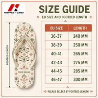 Chanclas de PVC con Correa Personalizada, Desarrollo de Molde con Logotipo de Marca Privada, Calzado de Verano de Marca, Proveedor de Pedidos al por Mayor OEM
