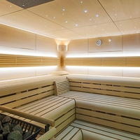 Kit de luces de techo de estrella de fibra óptica Diy para sala de sauna