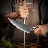 Professionnel japonais 67 couches acier damas AUS10 noyau de coupe Chef aiguiseur de couteau tige ciseaux ensemble de couteaux de cuisine