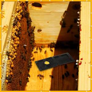 Outils d'apiculture Boîte de coléoptère de <span class=keywords><strong>ruche</strong></span> réutilisable Outils de collecte pour apiculteur - Product Image 5