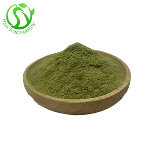 Wholesale Bulk Natural Spinach Powder Spinach Extract Powder Dehydration Spinach Powder With Best Price and Quality