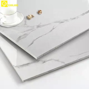Baldosas de Porcelana Líquida para Suelo 50x50 60x60 - Product Image 6