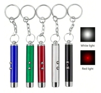 Jouet de pointeur laser écologique Rechargeable Portable pour chats jouet de formation interactif en alliage d'aluminium pour animaux de compagnie avec variabilité de couleur