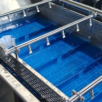 Industriële Bubble Wasmachine 500Kg Per Uur Ozon Sterilisatie Voor Fruit & Groenten Met Transportband