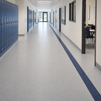 Heterogener Vinyl-Bodenbelag in Rollenform, Gewerbliche Qualität, Wasserdichte PVC-Bodenbeläge für Krankenhäuser, Hotels, Büros und Schulen