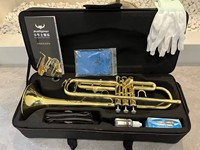 LTR-508L Wind Musical Instruments Bb Key Bullfighter Standard Surface Gold Lacquer Head Bakelite Brass Trumpet