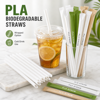 Pailles à boire biodégradables PLA emballées individuellement pour les boissons froides, utilisation en fête