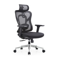 Chaise de bureau de direction avec support de tête réglable, coussin lombaire intégré et base cinq étoiles chromée