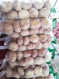 Chine Fournisseur d'origine Vente en gros de haute qualité Nouvelle culture Ail <span class=keywords><strong>frais</strong></span> blanc normal - Product Image 5