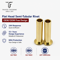Rivets semi-tubulaires à tête plate personnalisés TianFang pour prototypes d'étiquettes de rayonnages, acier oxydé noir, production OEM basée sur dessin