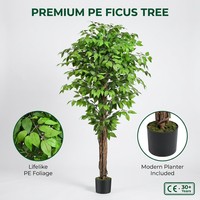 Arbre artificiel Ficus, tronc tressé réaliste, canopée ovale dense, pot noir mat, 90-180 cm, branches pliables, idéal pour les décorations de graduation