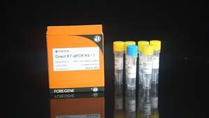 <span class=keywords><strong>2X</strong></span> Multiplex <span class=keywords><strong>Master</strong></span> <span class=keywords><strong>Mix</strong></span> Kit de sonda de un paso para Direct RT-qPCR Kit - Product Image 6