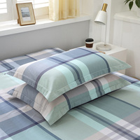 Échantillon gratuit de housses de coussin décoratives, housses de coussin blanches, housses de coussin jetables