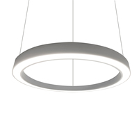 Iralan — lustre LED classique personnalisé, luminaire d'intérieur en métal, en forme d'anneau, en acrylique, design moderne, offre spéciale, E222