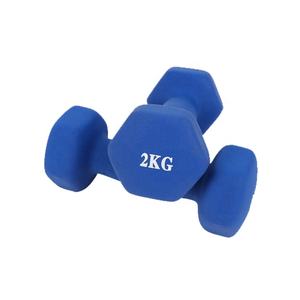 Großhandel Hantel Hersteller Kaufen Sie verstellbare Hanteln Günstige Online Frosted Hexagon Dipped Plastic Gym 10kg Hantel zum Verkauf - Product Image 4