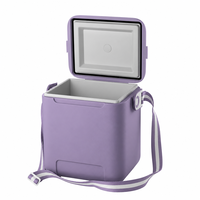 Glacière de jardin 10L, glacière isotherme pour vin, canettes et aliments, idéale pour la voiture, les voyages et la plage