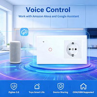 Interruptor Inteligente Zigbee 3.0 Estándar Europeo Tipo 157 y Enchufe Normal con Panel de Vidrio, Control por Voz, Conexión Remota a través de 220V 16A