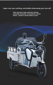 Adult 3 <b>Wheel</b> Electric Cargo Tricycle 60V800W Keyu Wholesale - Product Image 3
