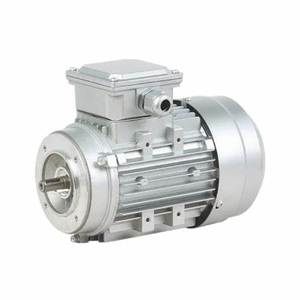 चीन YE2-90L-4-1.5KW इलेक्ट्रिक मोटर 220 वी 380 वी सीरीज का निर्माण एसी मोटर्स के लिए वी सीरीज का निर्माण 415 वी v. - Product Image 6