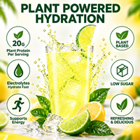 Poudre d'isolat de protéines végétales transparente 20G avec électrolytes, saveur citron-lime, en sachet, pour marque privée OEM/OBM