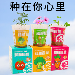 Caja Sorpresa con Plantas en Mini Macetas para Niños, Juguete de Exploración de la Naturaleza con Semillas Fáciles de Cultivar en Interiores en Invierno - Product Image 4