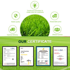 <span class=keywords><strong>Gazon</strong></span> artificiel pour jardin, <span class=keywords><strong>toit</strong></span>, <span class=keywords><strong>terrasse</strong></span>, aménagement paysager, jeu en plein air, tapis de <span class=keywords><strong>gazon</strong></span>, <span class=keywords><strong>gazon</strong></span> artificiel d'intérieur - Product Image 5