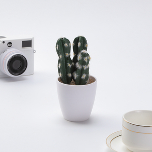 Cactus Artificial en Maceta, Decoración <span class=keywords><strong>de</strong></span> Cactus Espinoso, Planta Suculenta Simulada, Decoración <span class=keywords><strong>de</strong></span> Bonsái - Product Image 5