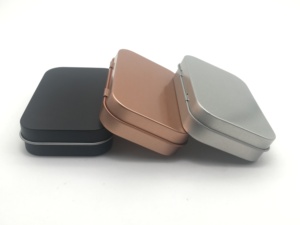 2025 trendind nhà máy OEM rỗng kim loại bản lề hình chữ nhật nhỏ bạc hà nhỏ hộp thiếc trong kho - Product Image 4