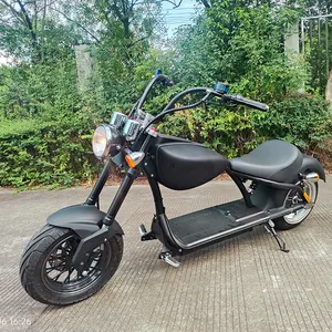 Scooter électrique extérieur 2 batterie 60v 20ah 2000w moteur citycoco - Product Image 1