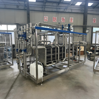 Pasteurisateur de jus de fruits et légumes avec pompe, en acier inoxydable SUS304, fonctionnement automatique, haute productivité
