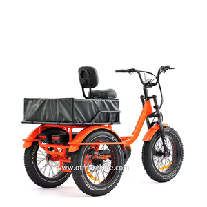 Vente en gros vélo électrique tricycle gras à trois roues tekerlekli elektrikli vélo électrique à 3 roues Bafang vélo cargo électrique à moteur central - Product Image 1