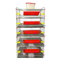 Cage à Cailles Commerciale Type H Durable pour la Gestion Moderne de la Volaille en Ferme – Cages Écologiques pour la Production d'Œufs