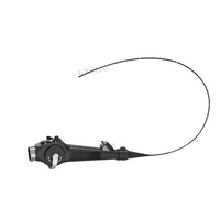 LHWTK12 Multi-fonction 10 Pouces Écran Tactile Pet Gastroscopie Cystoscopie Vaginoscopie Portable Vet Endoscope Système